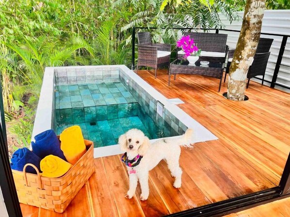 Luxury Studio Suite, 1 Bedroom, Private Pool, Garden View | Free WiFi, bed sheets - Guest House Pura Vida (Quepos)