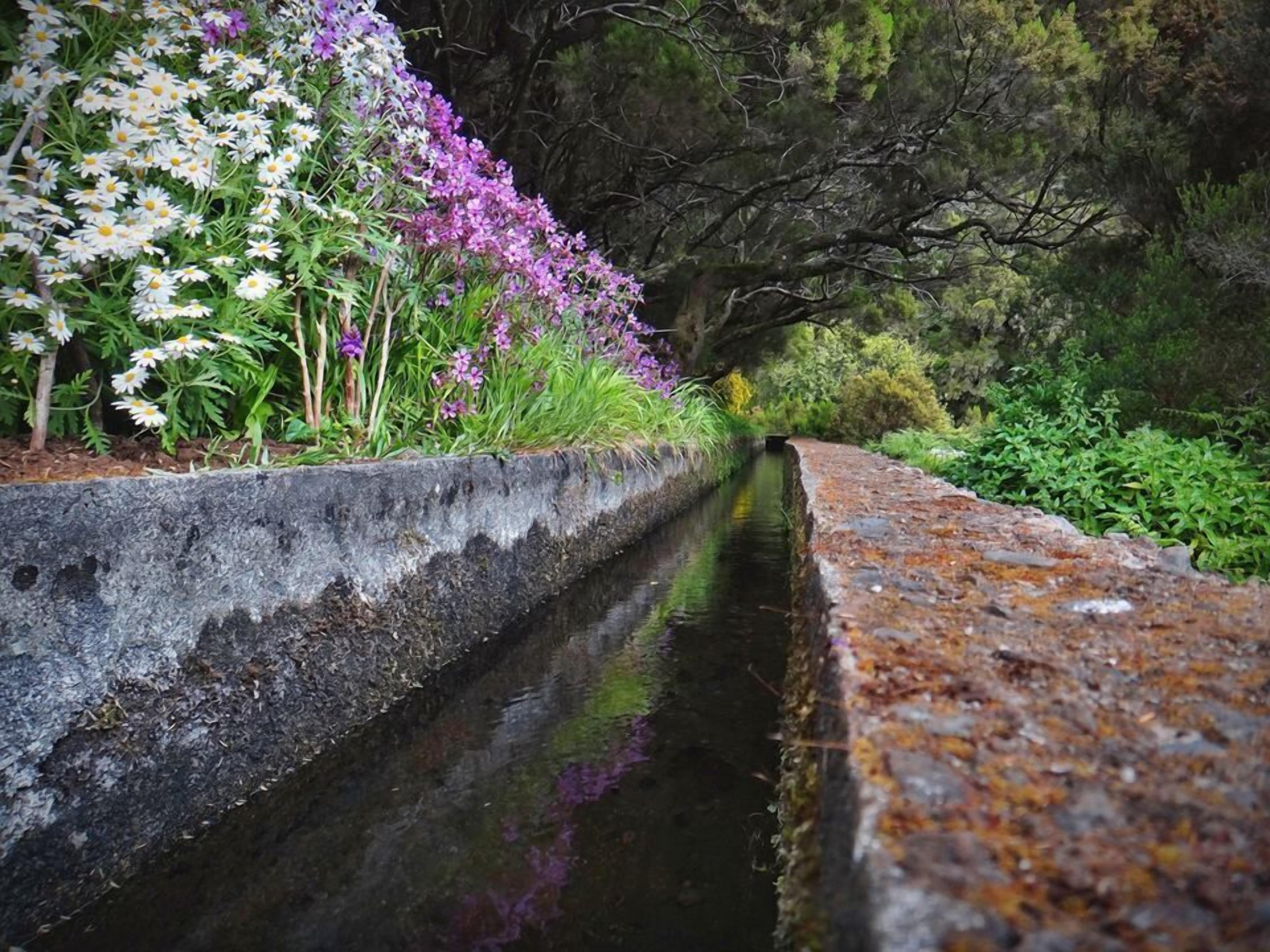 A narrow water channel flanked by stone walls with flowering plants and trees.