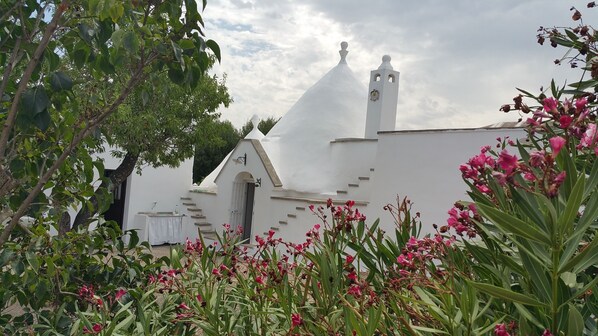 Property grounds - Trullo Gioioso of Ostuni (Ostuni)