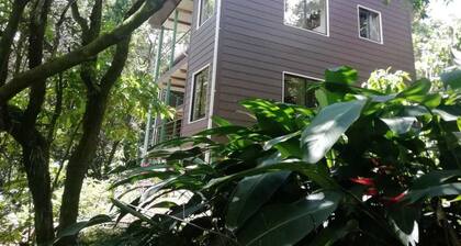 Monteverde Moon Forest
