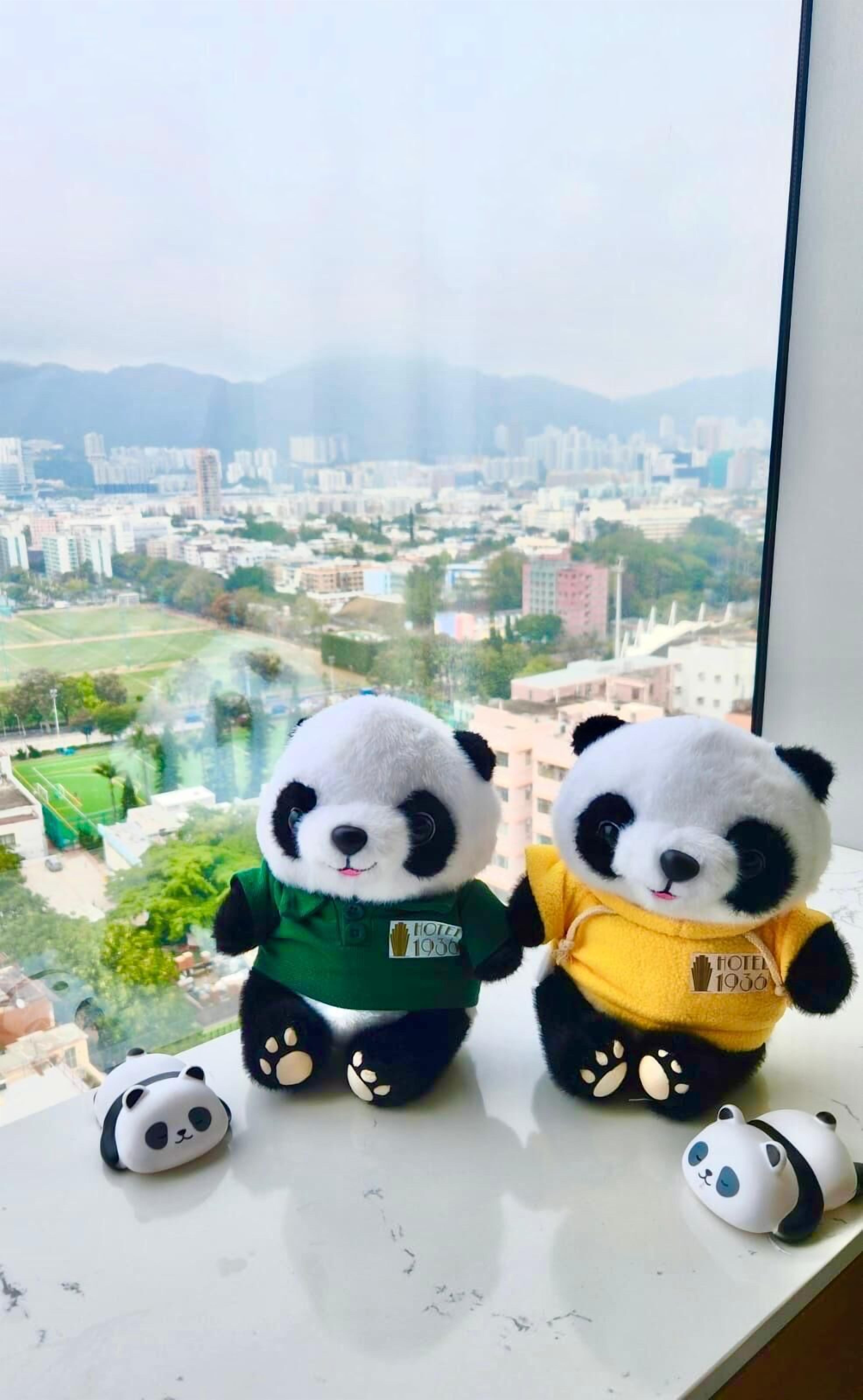 1936 panda themed room | in-room safe, desk, free wifi, bed sheets