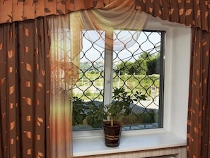 View from room - Oniks Hotel (Irkutsk)