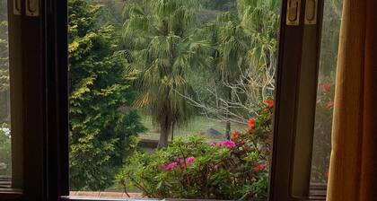 Lake for fishing. Come and relax in a green area of 30,000m2