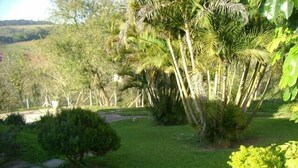 Un jardin luxuriant, avec des palmiers, un chemin pavé et une pelouse.