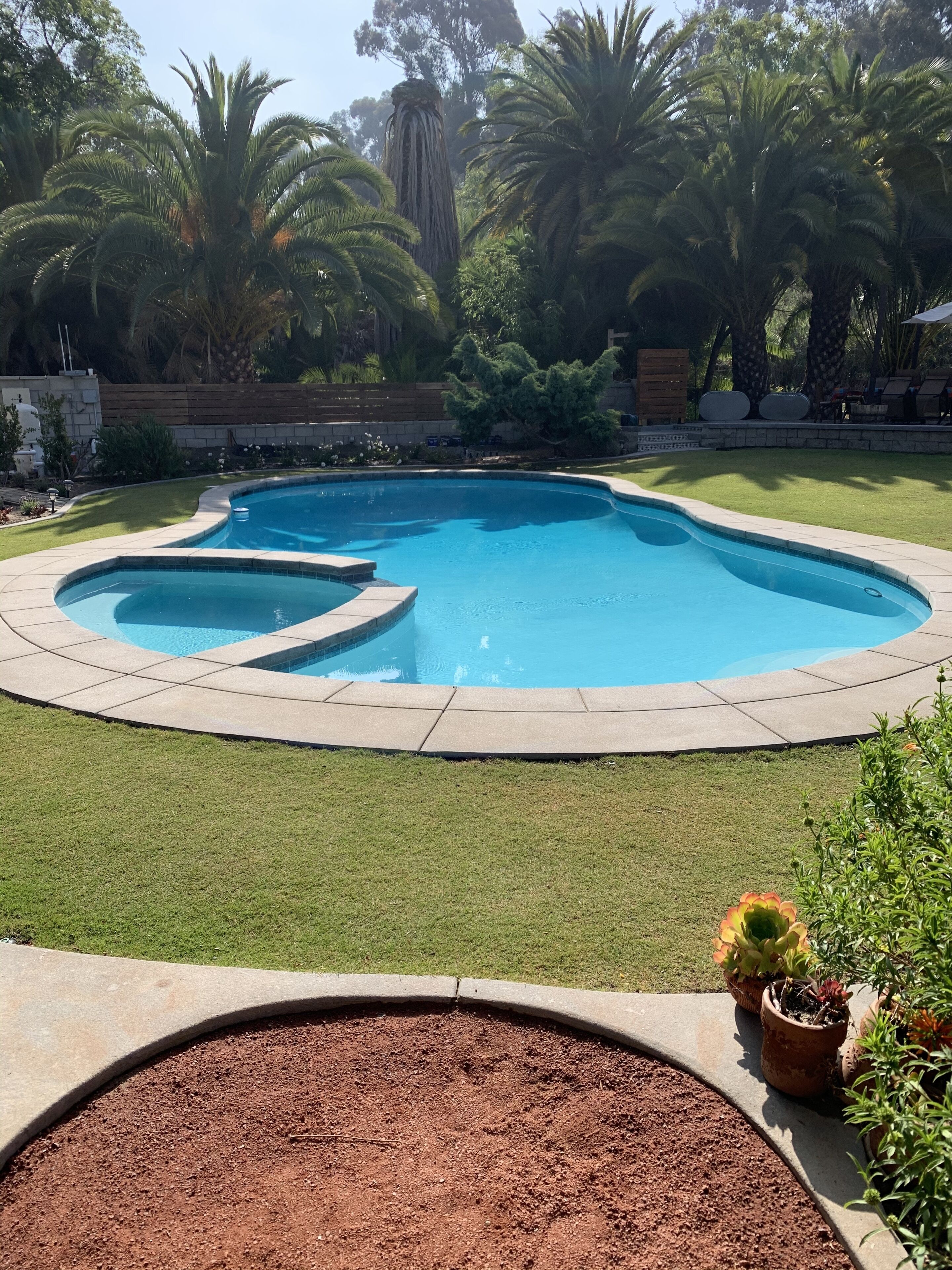 Una piscina de borde curvo, rodeada por un césped cuidado y diversas plantas.