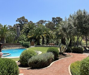 Un área ajardinada con piscina, palmeras y diversos arbustos.