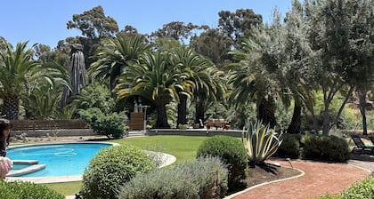 Escape Under the Palms at Casita Las Palmas Studio Retreat