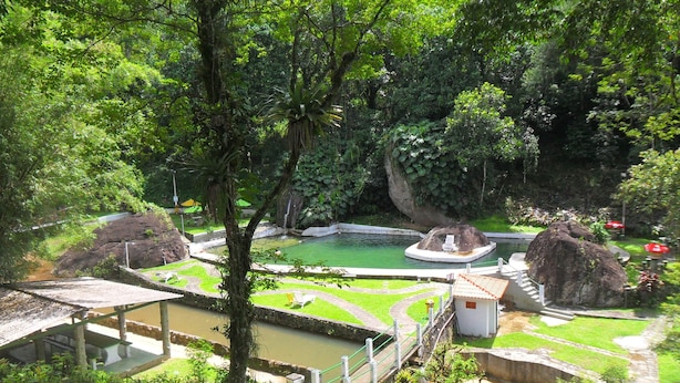 Un jardin luxuriant avec un étang, des formations rocheuses et un petit pavillon.