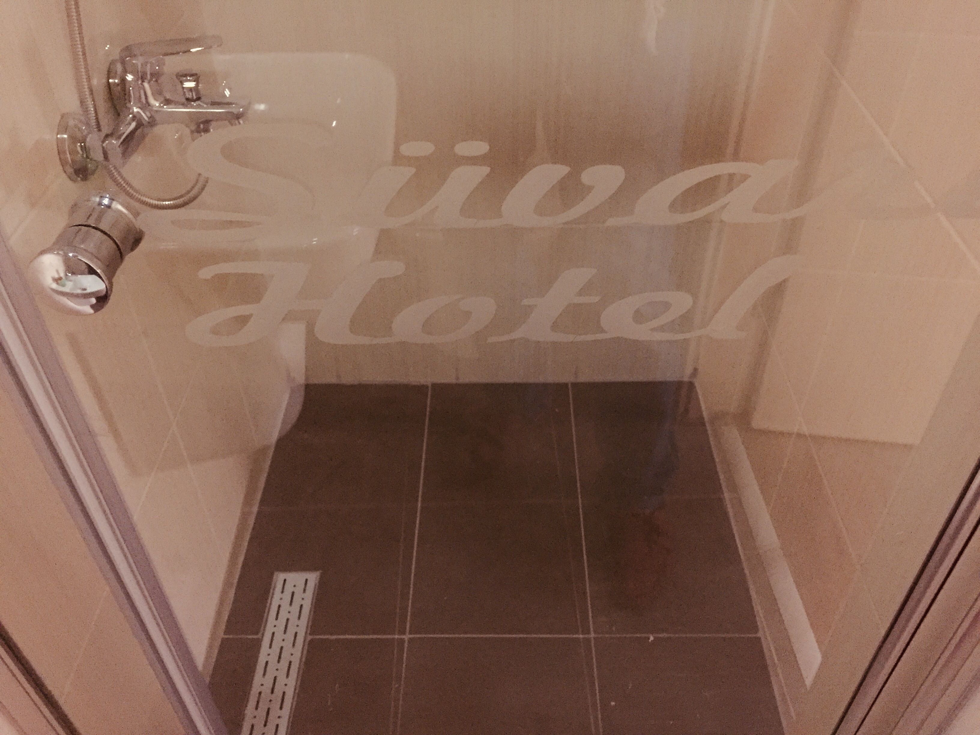 A glass-enclosed shower area with a visible drain and a showerhead.