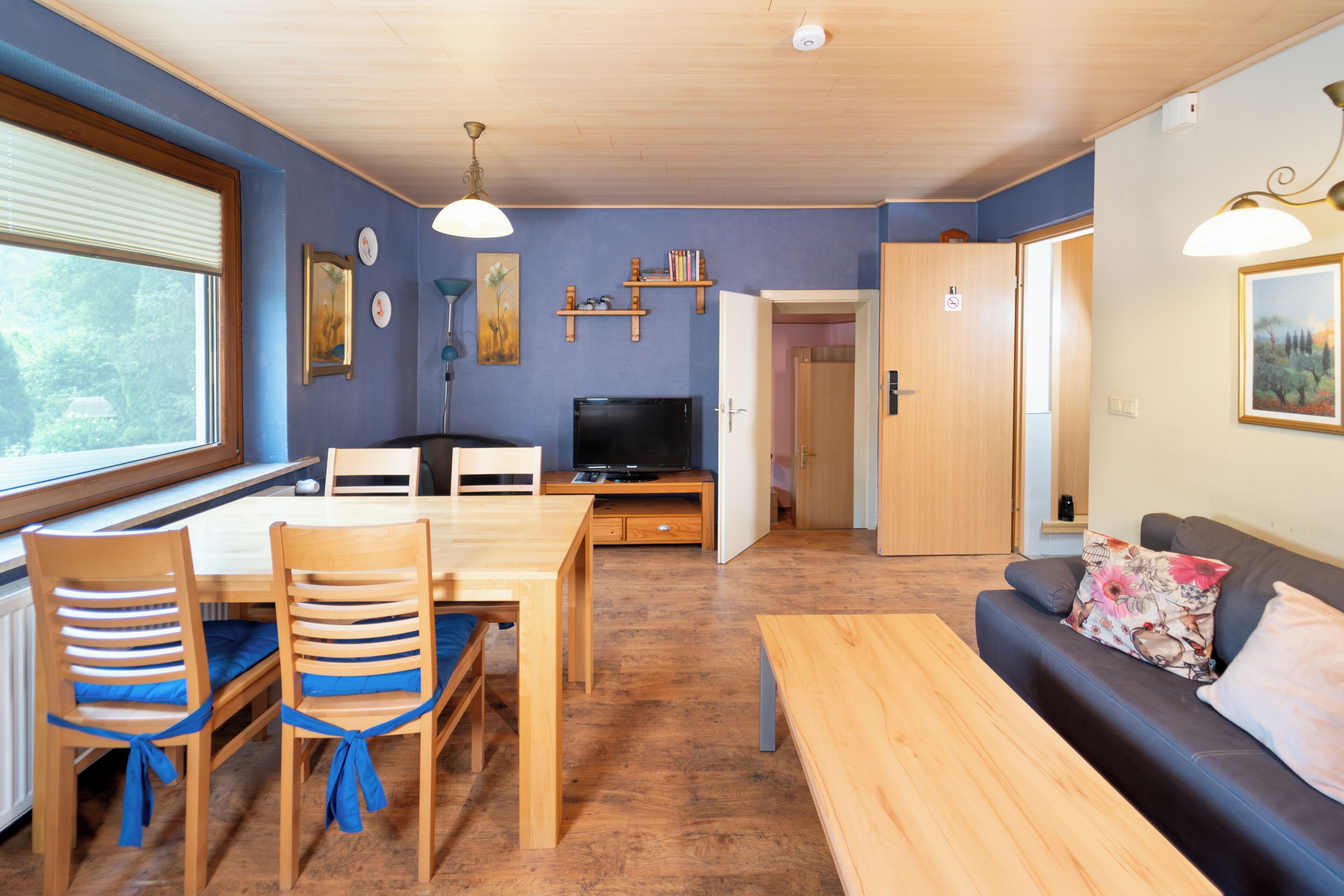 A living room with a sofa, a TV, a dining table with chairs, and a kitchen area with a window.