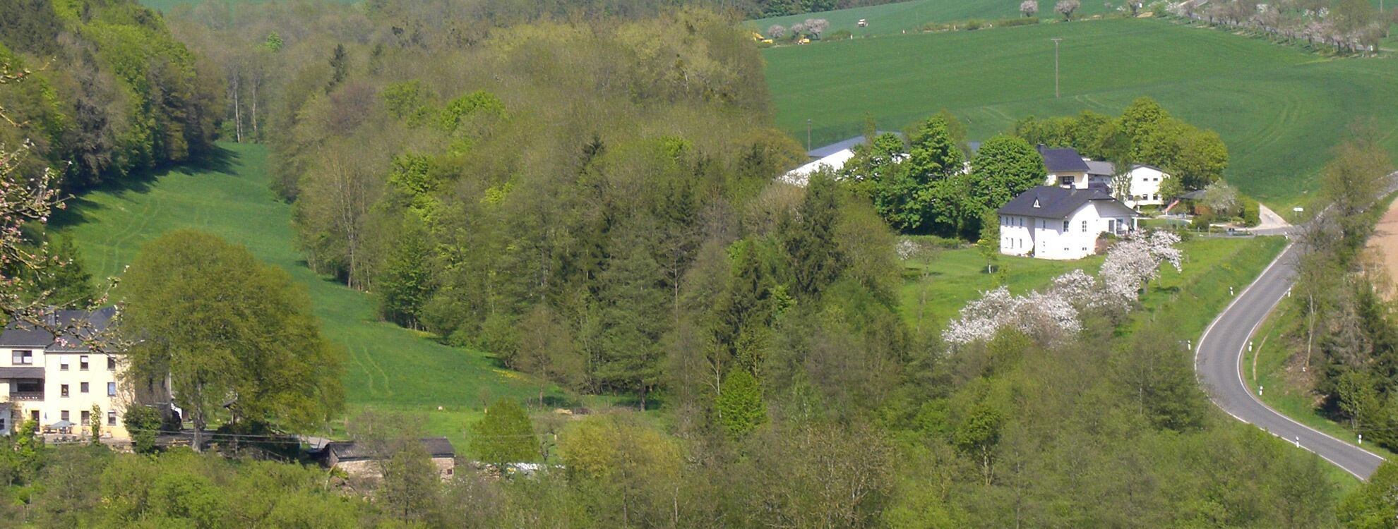 A rural landscape with a large white house surrounded by greenery and a winding road.