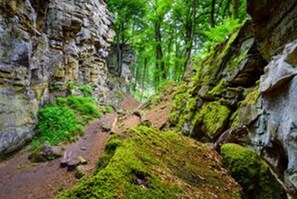 Hiking - Altes Zollhaus (Ammeldingen an der Our)