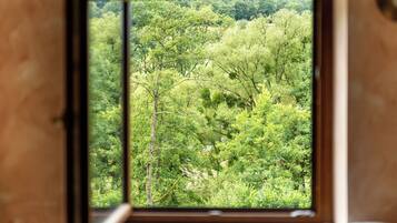 Land view from property
