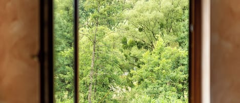 Land view from property