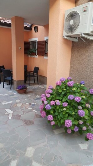 Relax in this serene outdoor seating area with a potted plant and comfortable chairs.
