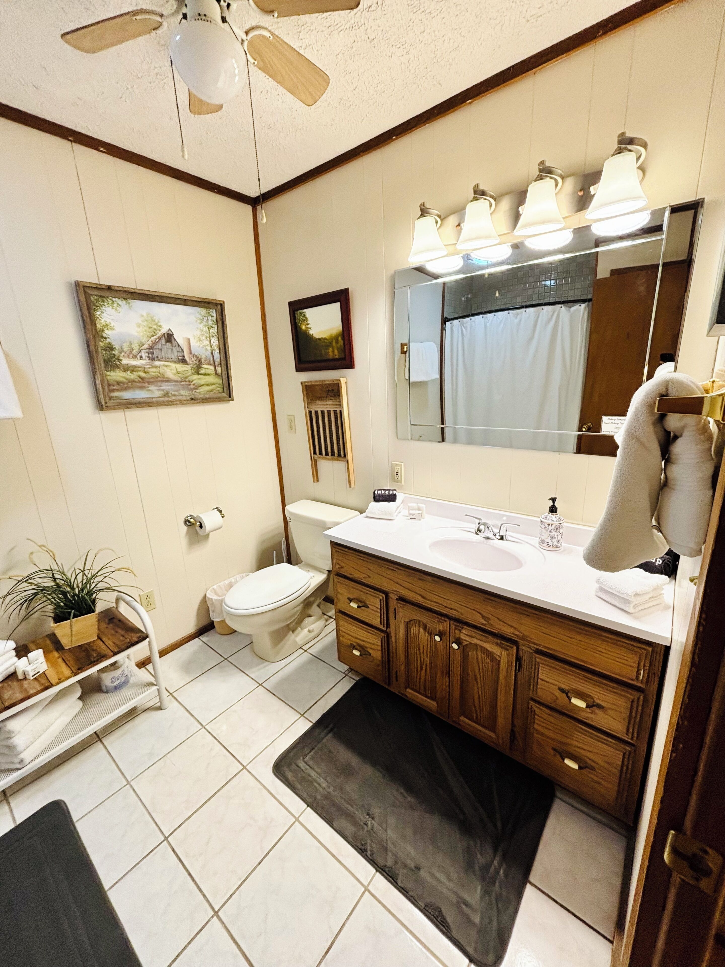 A bathroom with a toilet, sink, vanity, mirror, ceiling fan, and a framed picture on the wall.