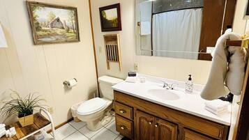 A bathroom with a toilet, sink, vanity, mirror, ceiling fan, and a framed picture on the wall.