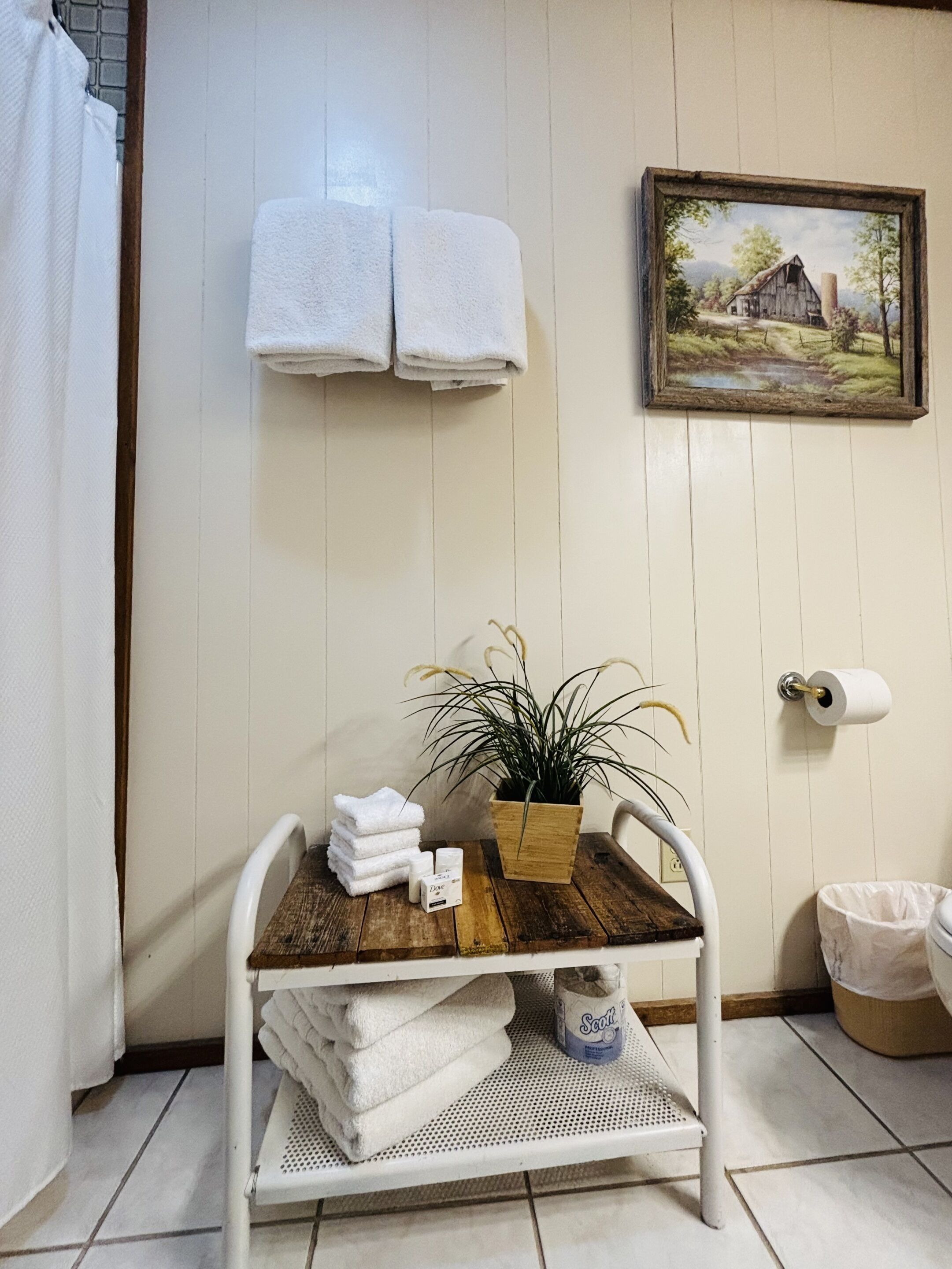 Ein Badezimmer mit einem Holztisch, auf dem Handtücher, eine Topfpflanze und Pflegeprodukte liegen. Zwei Handtücher hängen an der Wand, daneben ein Bild und ein Toilettenpapierhalter.