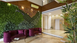 A reception area with a green wall, two purple sofas, a wooden bench, and a potted plant.