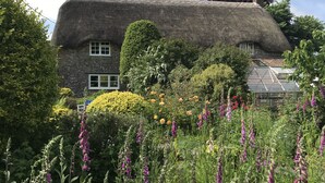 A thatched-roof house with a garden full of flowers and a greenhouse.