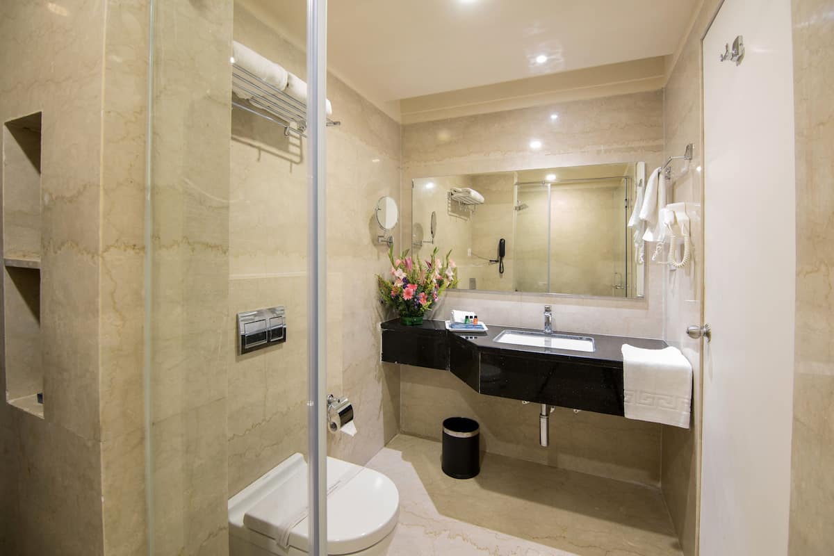 Shower, free toiletries, hair dryer, bathrobes