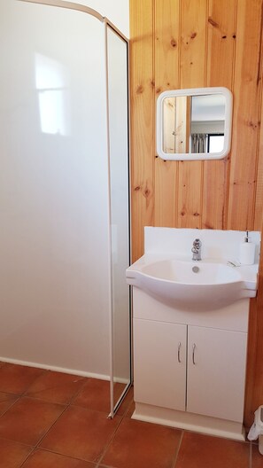 Lejlighed - 1 soveværelse | Badeværelse | Bruser, gratis toiletartikler, hårtørrer, håndklæder