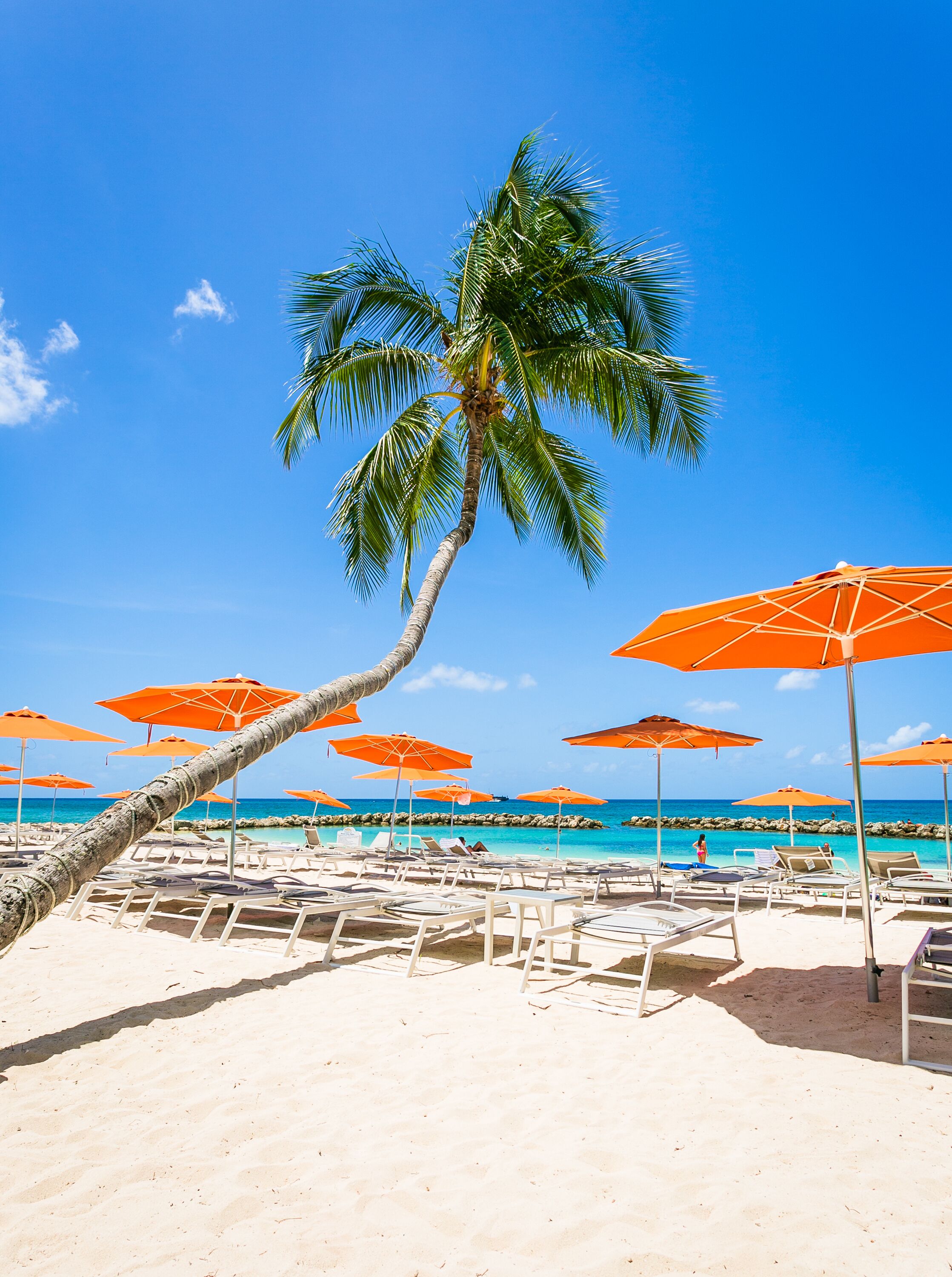 Chaises longues, serviettes de plage