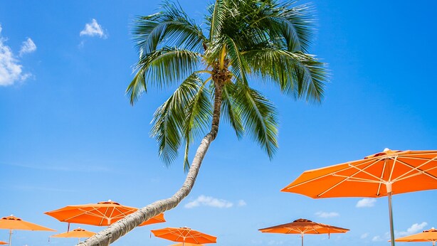 Ein Strand mit weißen Liegestühlen und orangefarbenen Sonnenschirmen, Palmen und einem wolkenlosen, blauen Himmel.