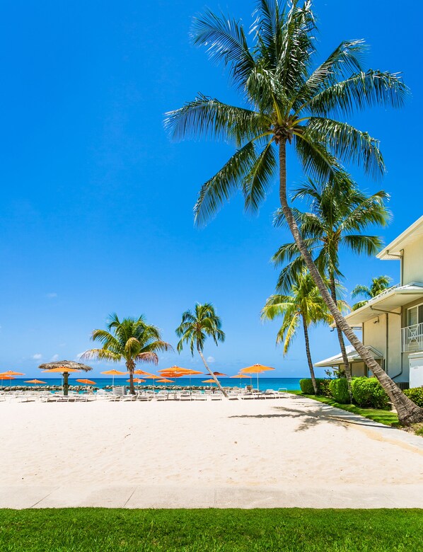 Plage, chaises longues, serviettes de plage