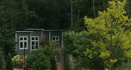 CANFIELD ORCHARD APPLE SUITE