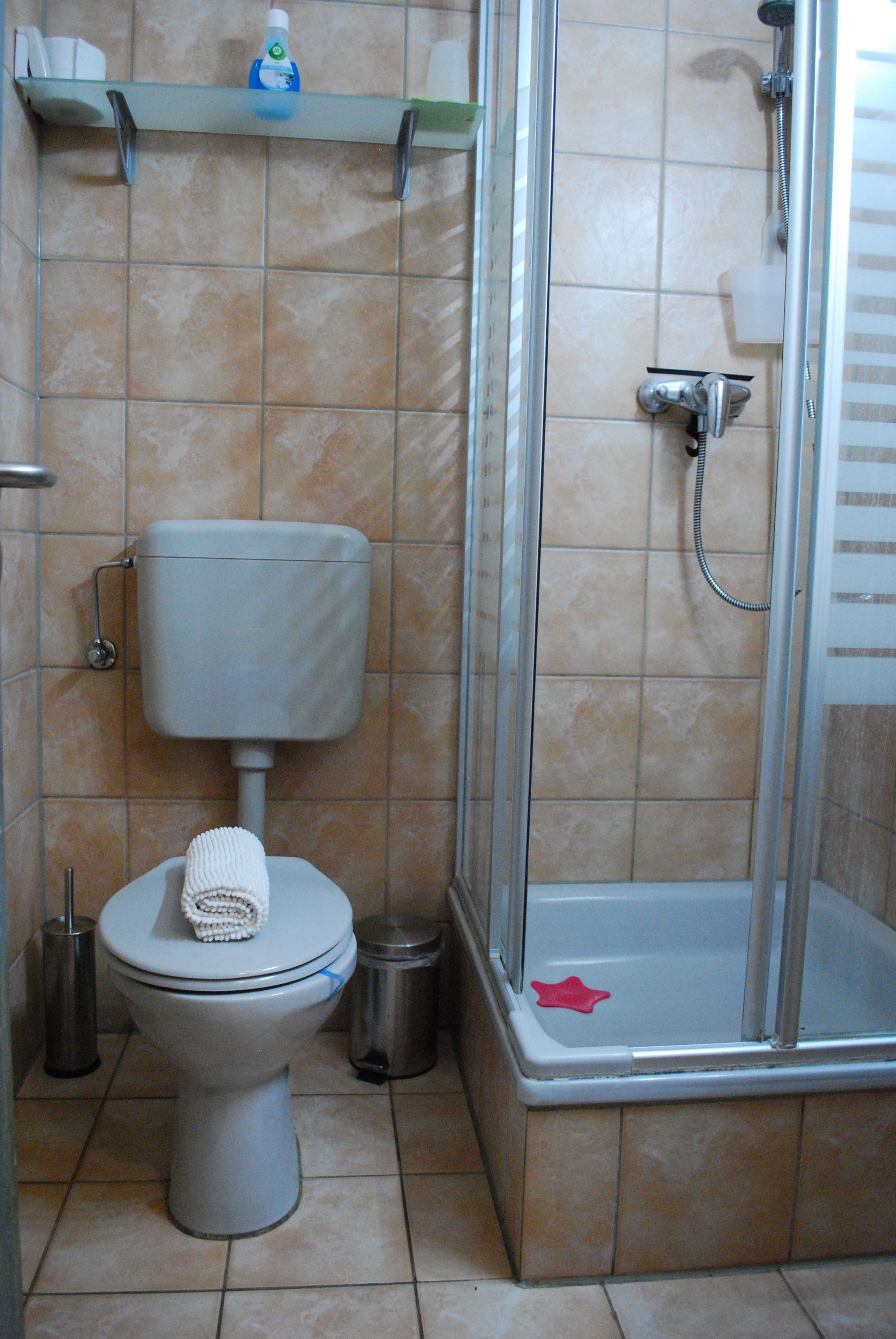 A bathroom with a toilet, a shower, and a shelf with toiletries.