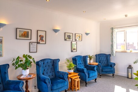The Shelbourne - Image 34