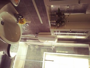 Combined shower/bathtub, hair dryer, towels, soap