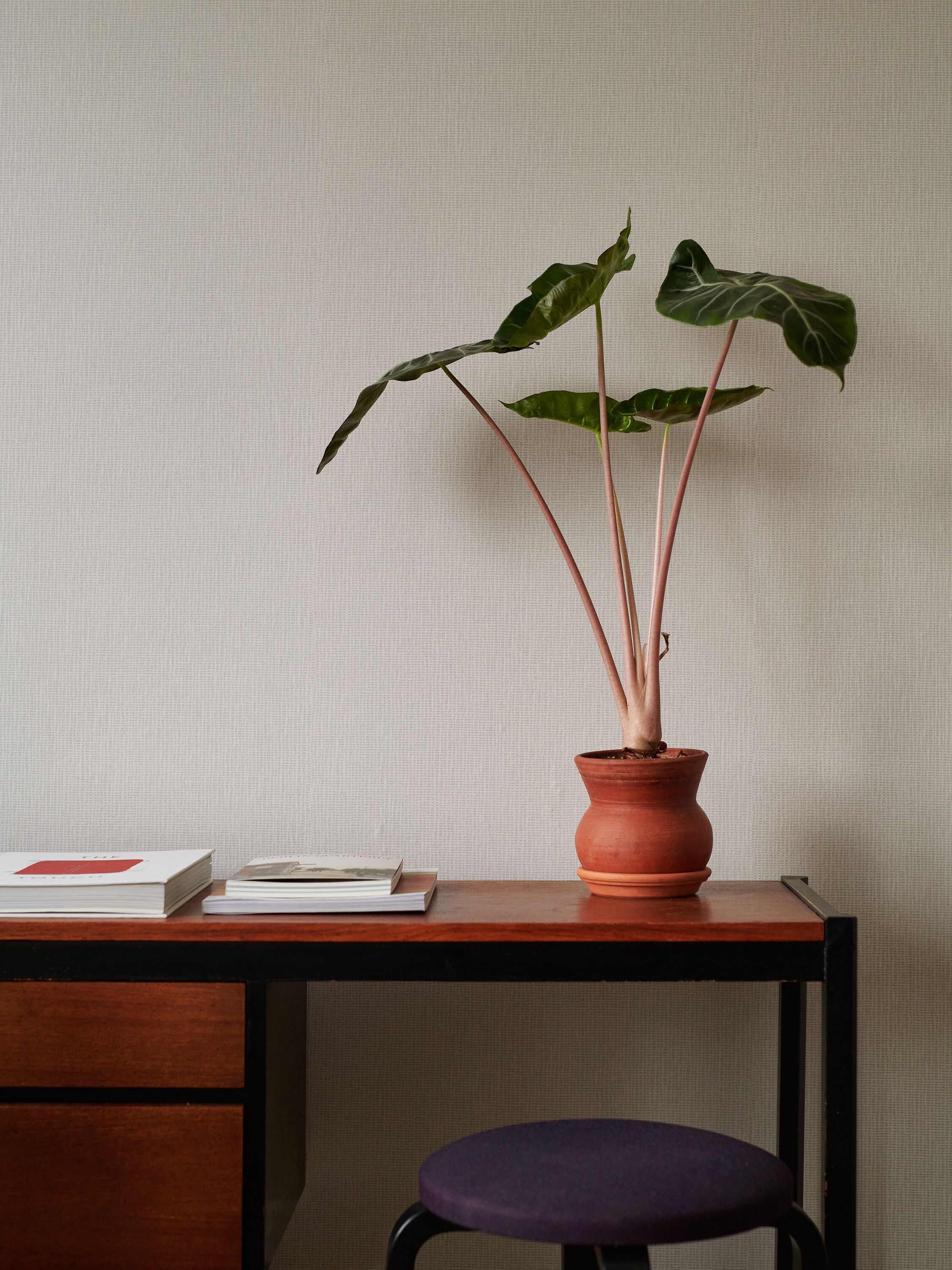 Foto - Noli Sörnäinen