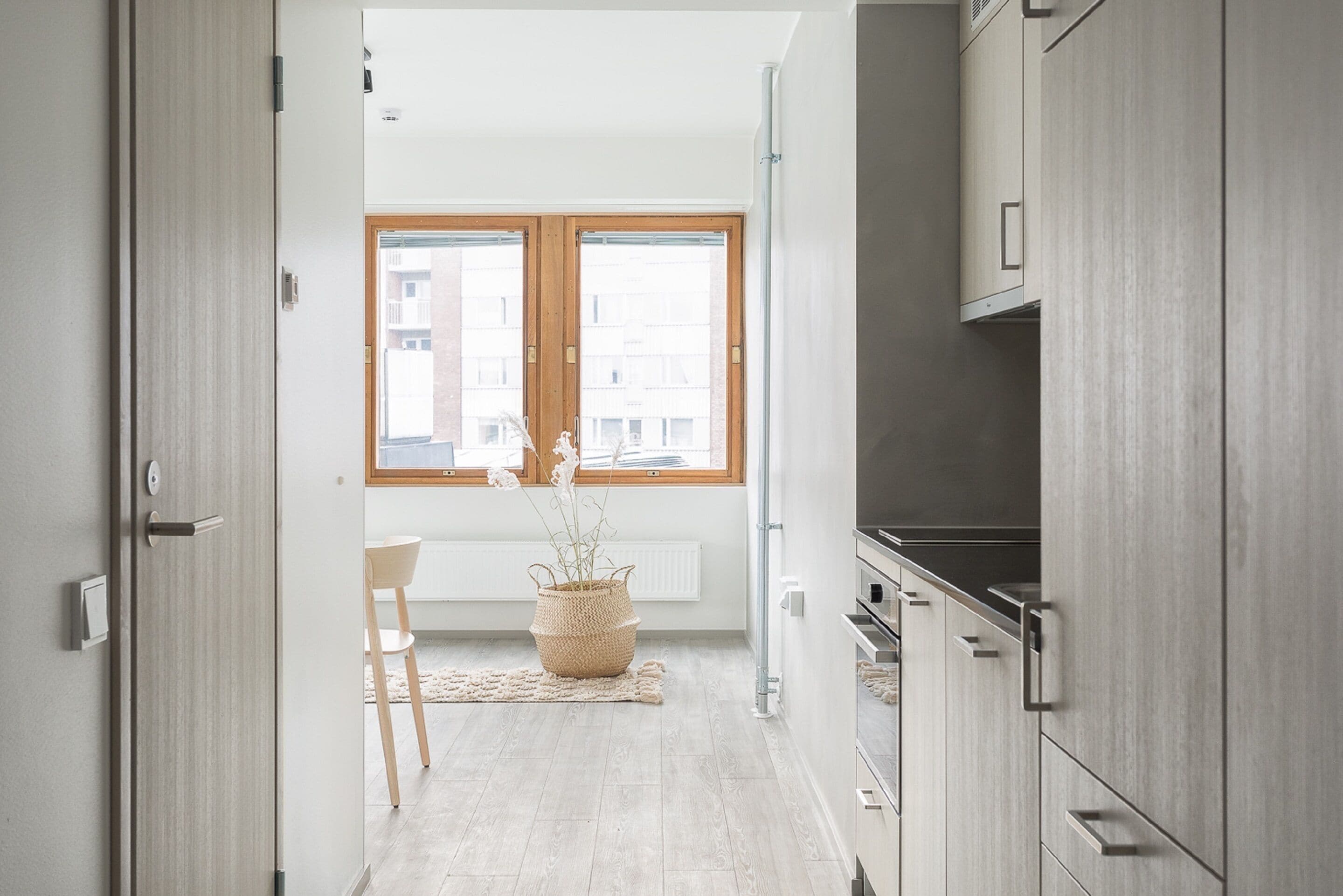 Foto - Noli Sörnäinen