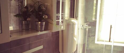 Combined shower/bathtub, hair dryer, towels, soap