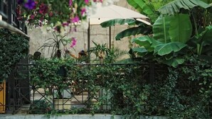 Un jardín exuberante con diversas plantas y flores, una cerca de metal y un paraguas grande que ofrece sombra.