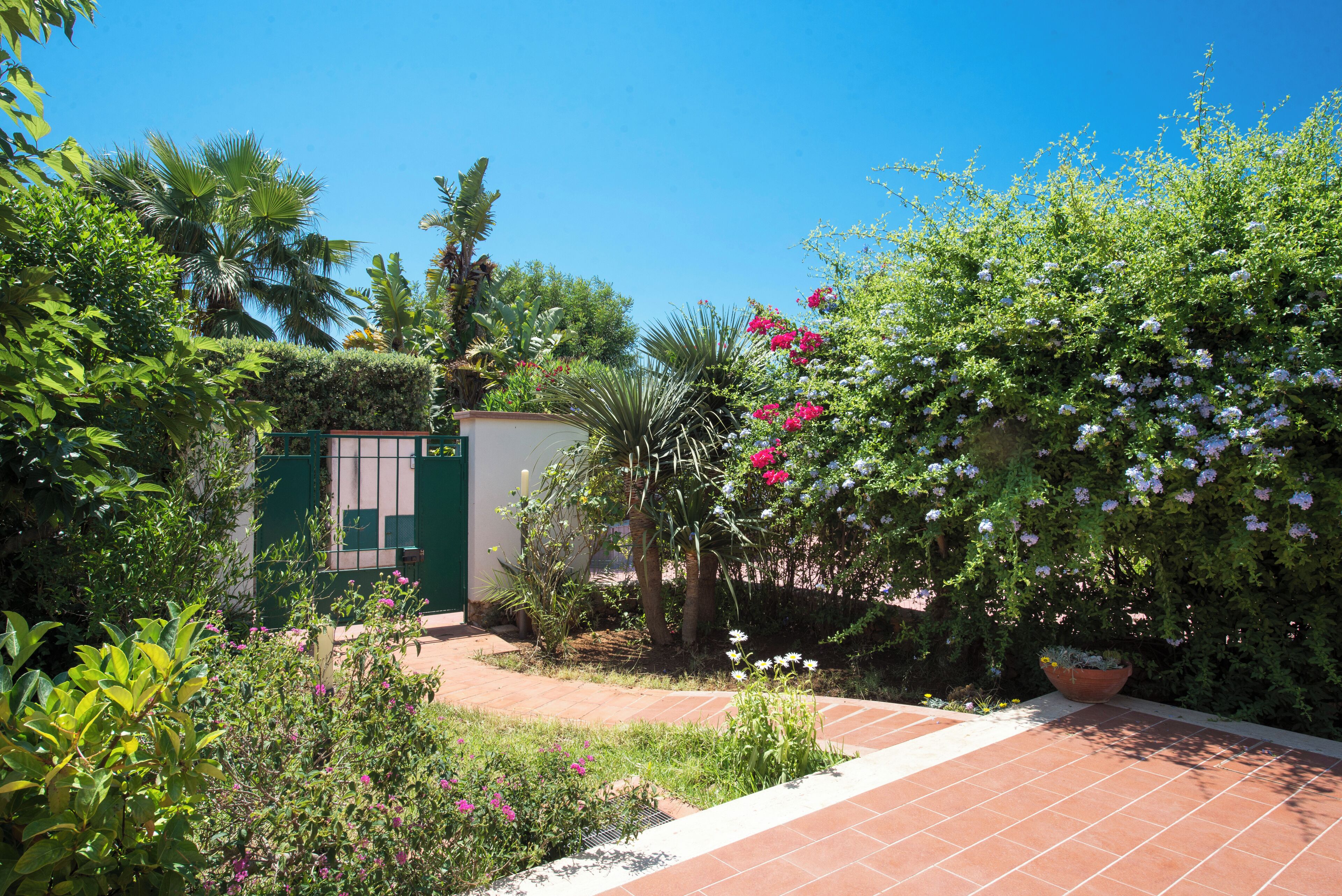 A garden with various plants and flowers, a green gate, and a tiled pathway.