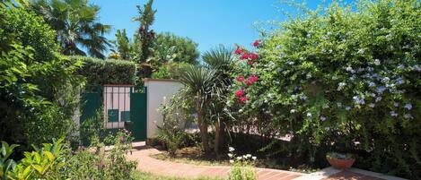 A garden with various plants and flowers, a green gate, and a tiled pathway.