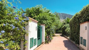 Un estrecho callejón bordeado por edificios blancos con contraventanas verdes, que lleva a una puerta.