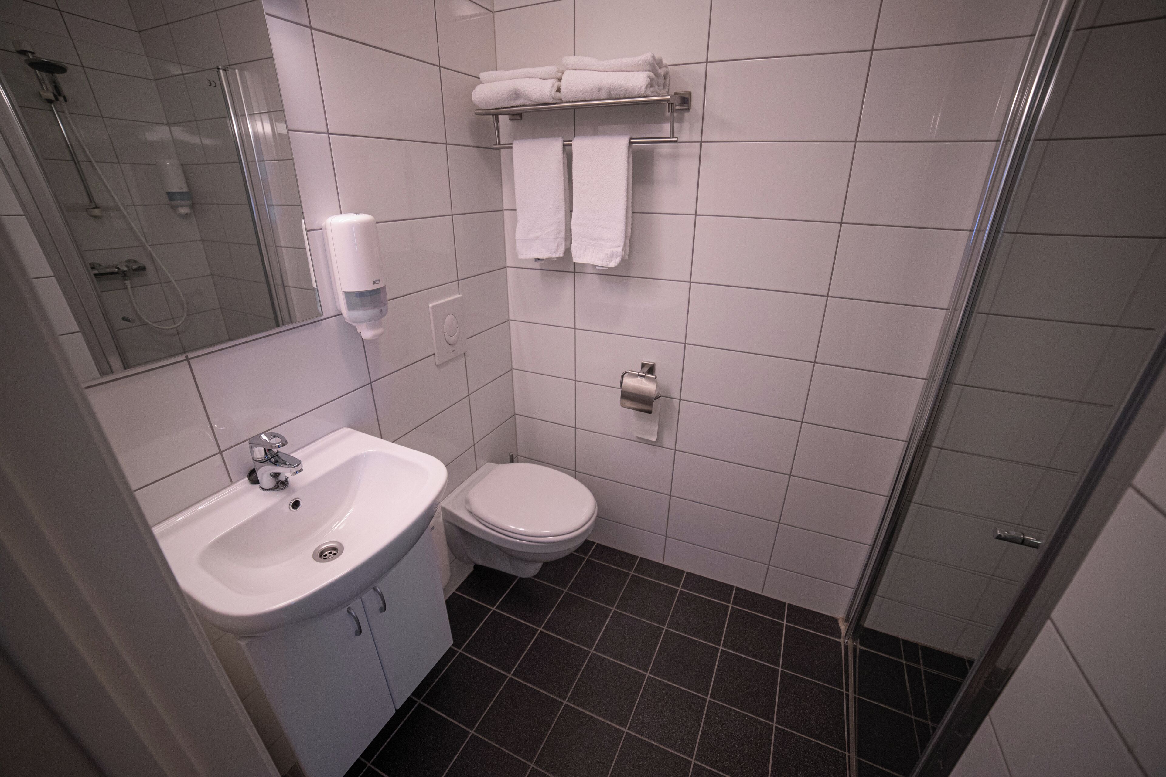 Un baño con lavamanos, inodoro y ducha.