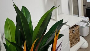 Un interior moderno con estantes blancos, cestas de mimbre y una máscara decorativa.