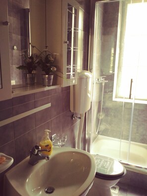 Hair dryer, towels, shampoo, toilet paper