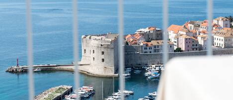 Vista desde la propiedad
