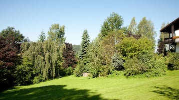 Jardín