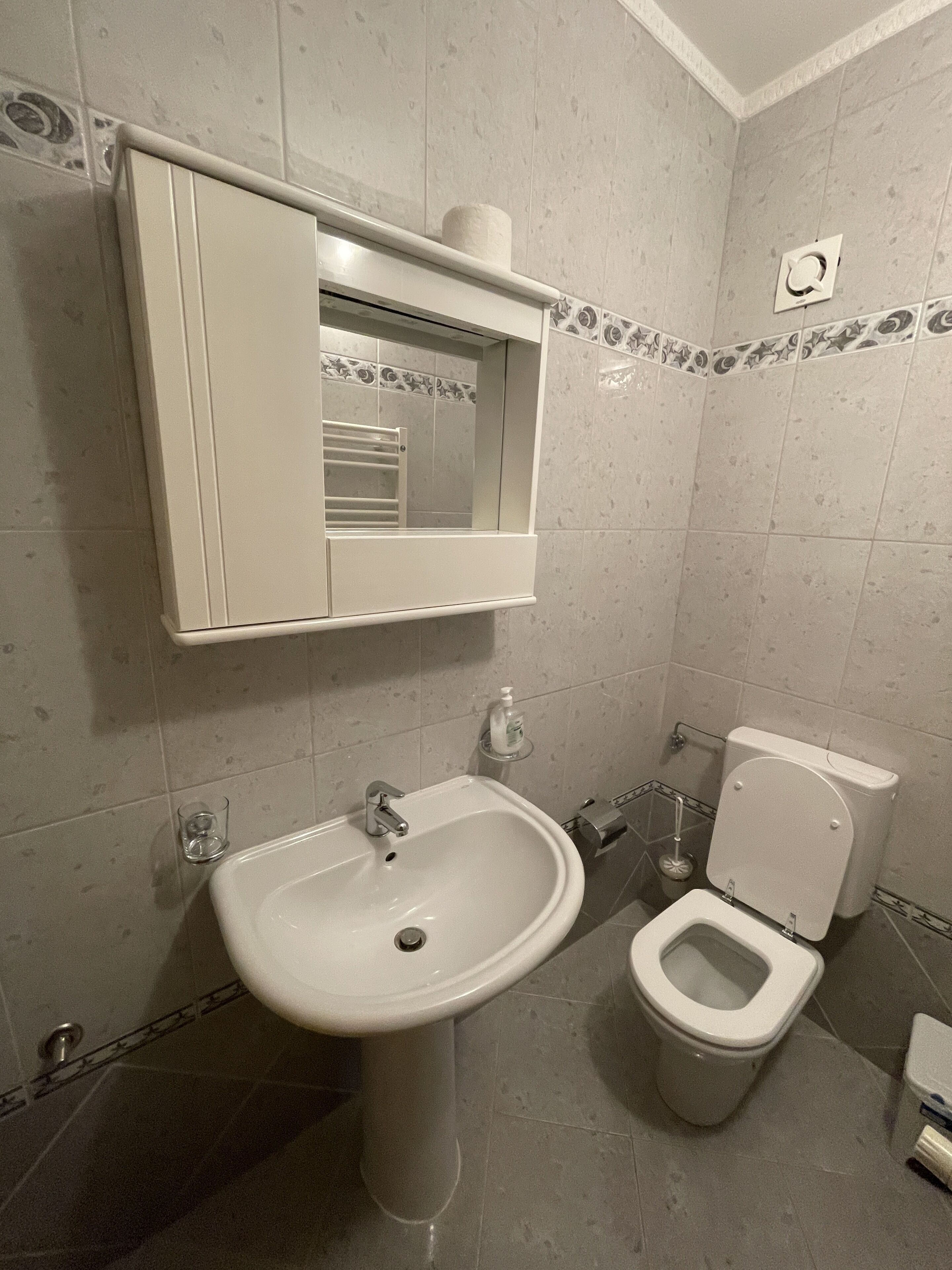 A bathroom with a sink, toilet, and a mirror above the sink.