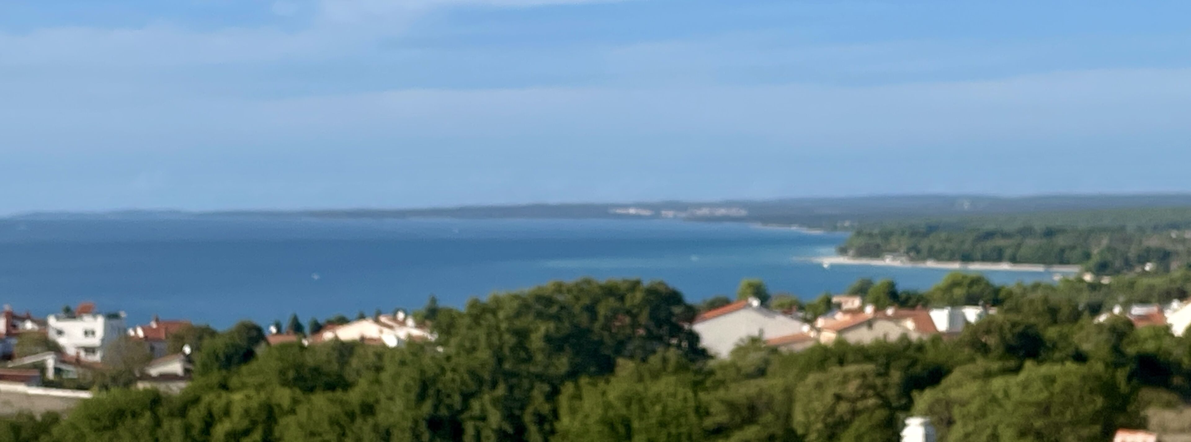 A coastal view with houses and a body of water.