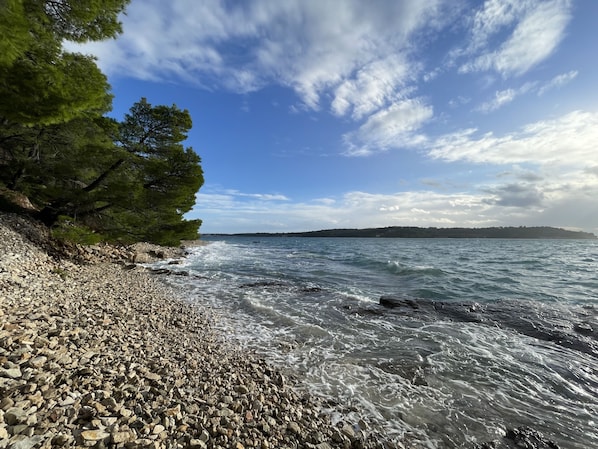 Plage à proximité, sable blanc, chaises longues, parasols