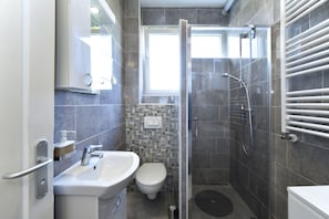 A modern bathroom with a shower, toilet, and sink.