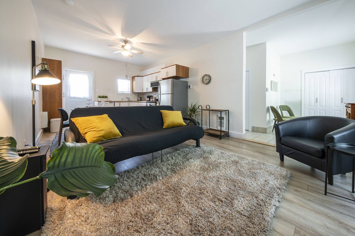 Ein modernes Wohnzimmer mit einem schwarzen Sofa, gelben Kissen, einer großen Pflanze und einem flauschigen Teppich.